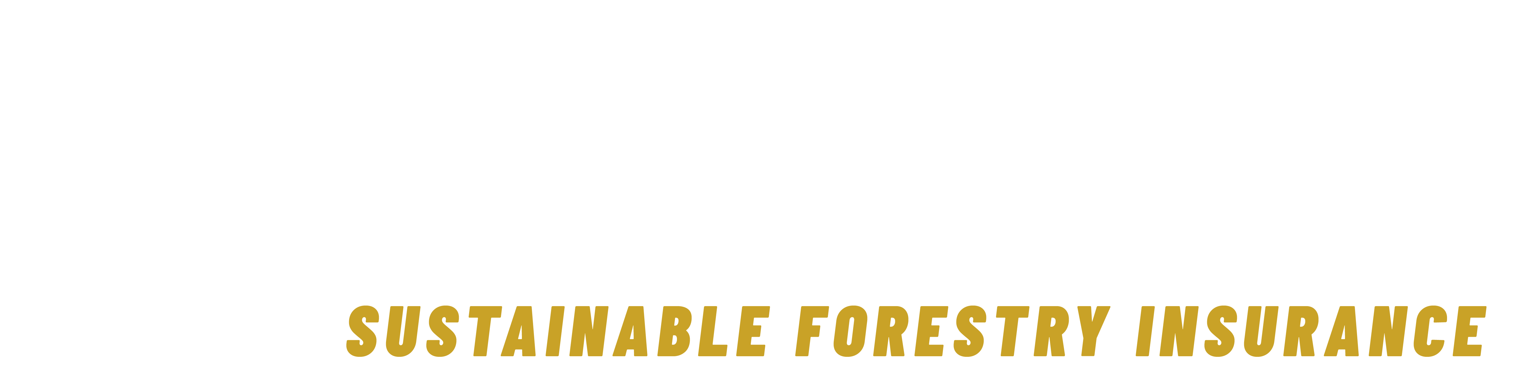 Longleaf Forestry Insurance