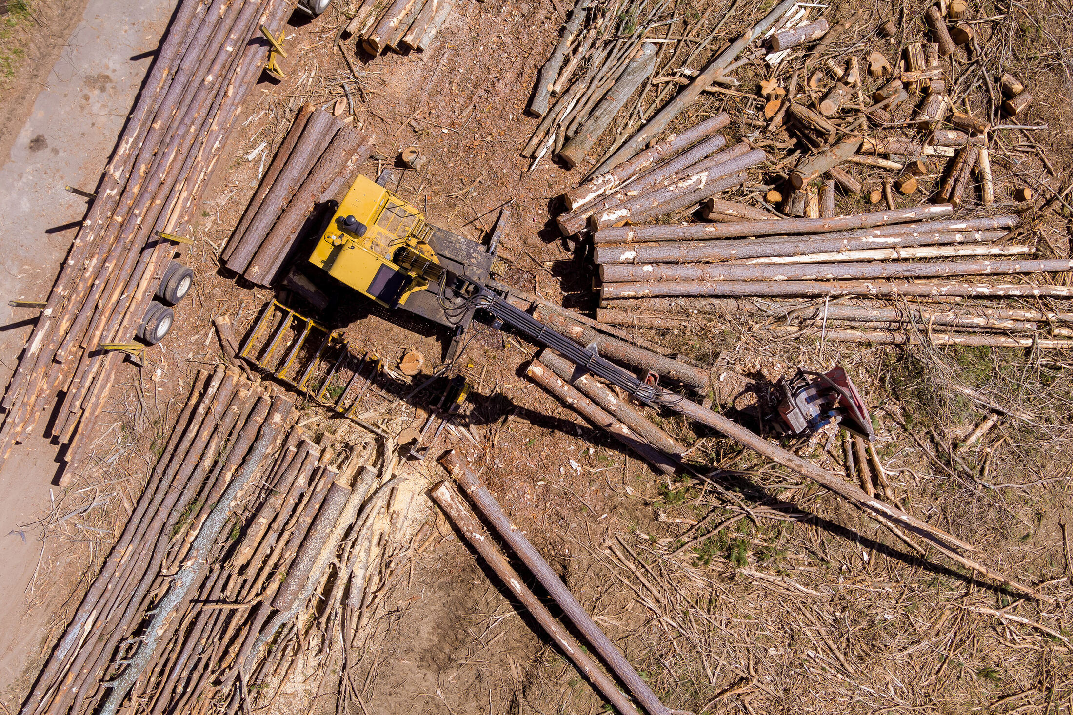 Loggers broad form