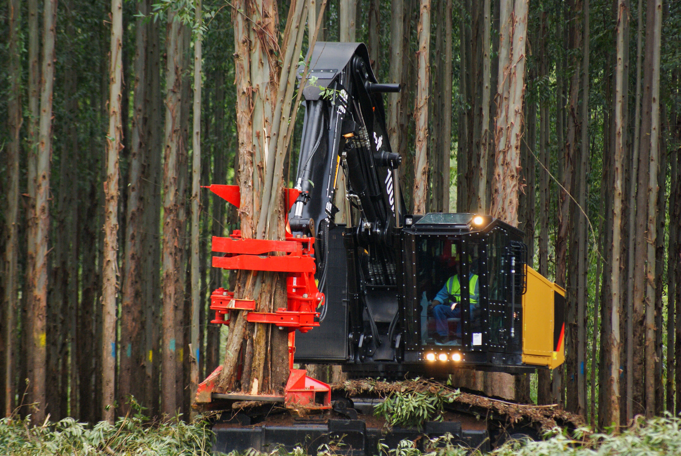 Logging Equipment Insurance